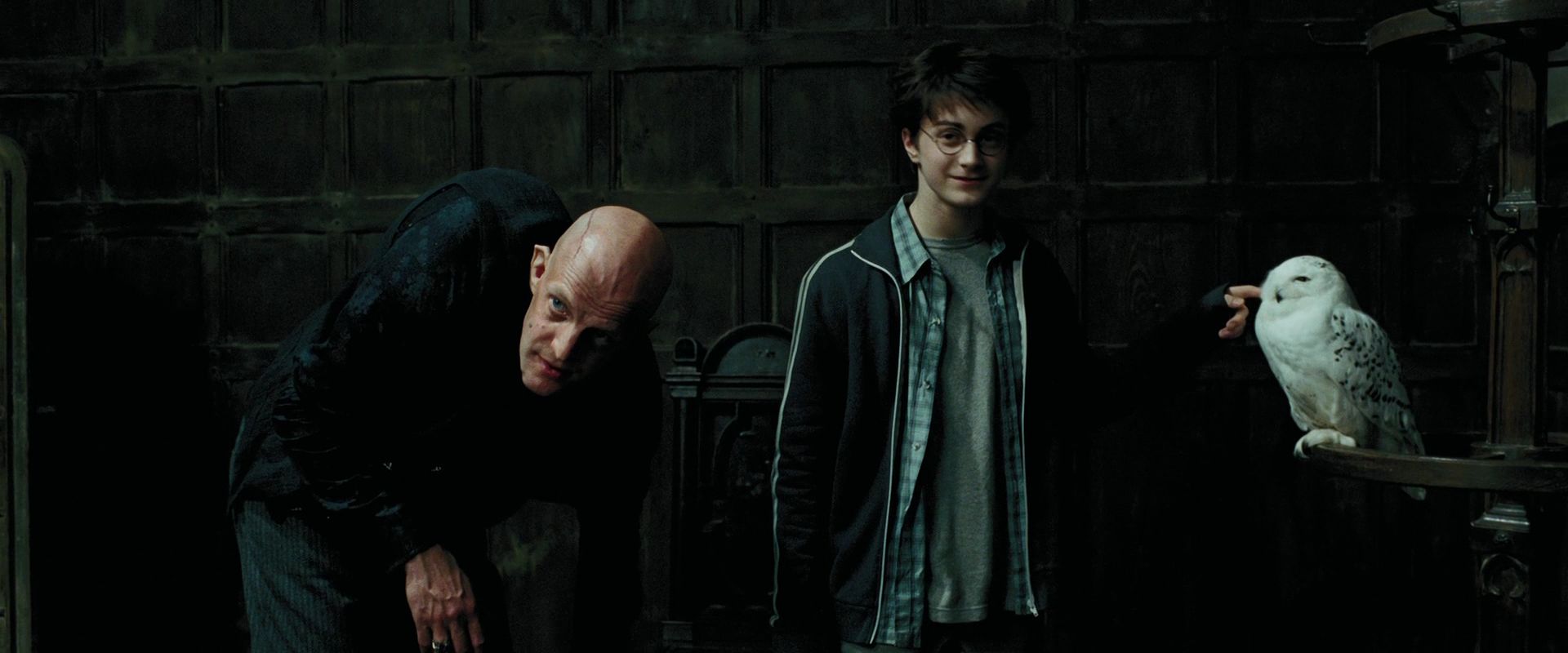 Сириус блэк узник азкабана. Гарри поттер и узник азкабана профессор трелони. Сириус блэк 12 лет в азкабане. Гарри поттер в переводе гоблина. Люпин сириус азкабанский.