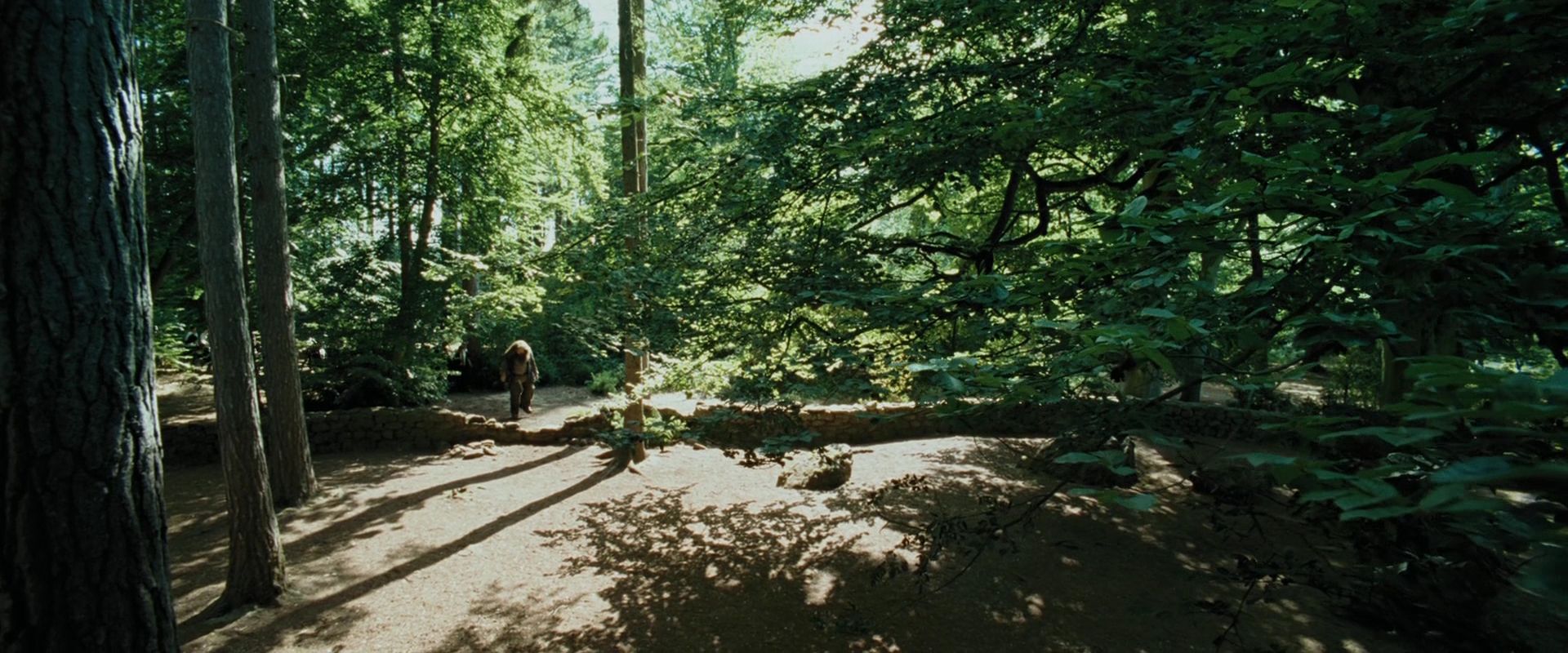 HPPoA0903.jpg
