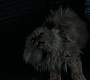 HPPoA0594.jpg