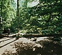 HPPoA0903.jpg