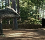 HPPoA1023.jpg