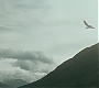 HPPoA1080.jpg