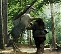 HPPoA1106.jpg