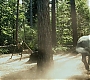 HPPoA1111.jpg