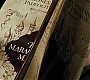 HPPoA1729.jpg