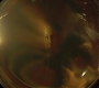 HPPoA2335.jpg
