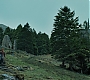HPPoA2416.jpg