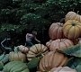HPPoA2486.jpg