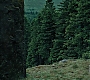 HPPoA2510.jpg