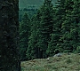 HPPoA2511.jpg