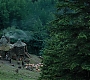 HPPoA2517.jpg
