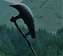 HPPoA2524.jpg