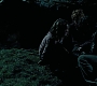 HPPoA2873.jpg