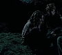 HPPoA2874.jpg