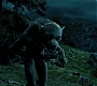 HPPoA2982.jpg