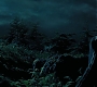 HPPoA3022.jpg