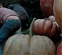Filename=HPPoA3335.jpg
Filesize=150KiB
Dimensions=1920x800
Date added=Sep 01, 2010 HPPoA3335.jpg