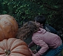 Filename=HPPoA3359.jpg
Filesize=164KiB
Dimensions=1920x800
Date added=Sep 01, 2010 HPPoA3359.jpg