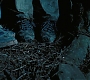 HPPoA3566.jpg
