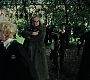 HP4GoF1679.jpg