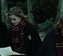 HP4GoF2385.jpg