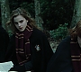 HP4GoF2386.jpg