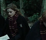 HP4GoF2388.jpg