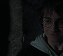 HP4GoF2473.jpg