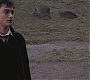 HP5-01243.jpg