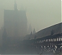 HP5-02585.jpg