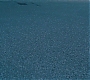 HP5-03571.jpg