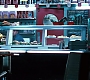 HP7CafeAttack0056.jpg