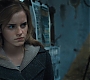 HP7ClipDeathlyHallows0069.jpg