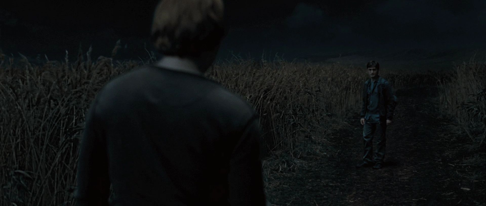 HP7ClipGoingSomewhere0011.jpg