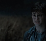 HP7ClipGoingSomewhere0044.jpg