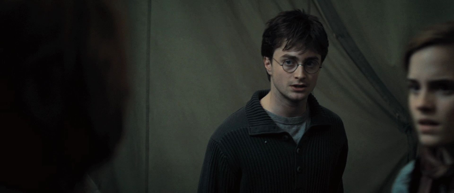 HP7ClipNoFamily0063.jpg