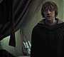 HP7ClipNoFamily0015.jpg