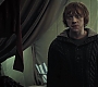 HP7ClipNoFamily0016.jpg