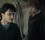 HP7ClipNoFamily0025.jpg