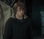 HP7ClipNoFamily0027.jpg