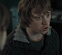 HP7ClipNoFamily0046.jpg