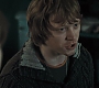 HP7ClipNoFamily0047.jpg