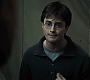 HP7ClipNoFamily0051.jpg