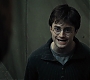 HP7ClipNoFamily0053.jpg