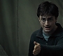HP7ClipNoFamily0056.jpg