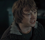 HP7ClipNoFamily0061.jpg