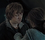 HP7ClipNoFamily0067.jpg