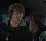 HP7ClipNoFamily0069.jpg
