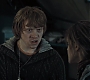 HP7ClipNoFamily0070.jpg