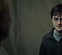 HP7ClipNoFamily0096.jpg
